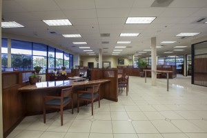 Skyline Cabinets IMG 9951 (1)